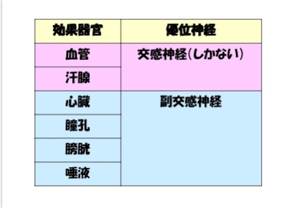 f:id:to_be_phm:20210118235212j:image