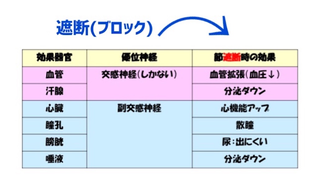 f:id:to_be_phm:20210118235506j:image