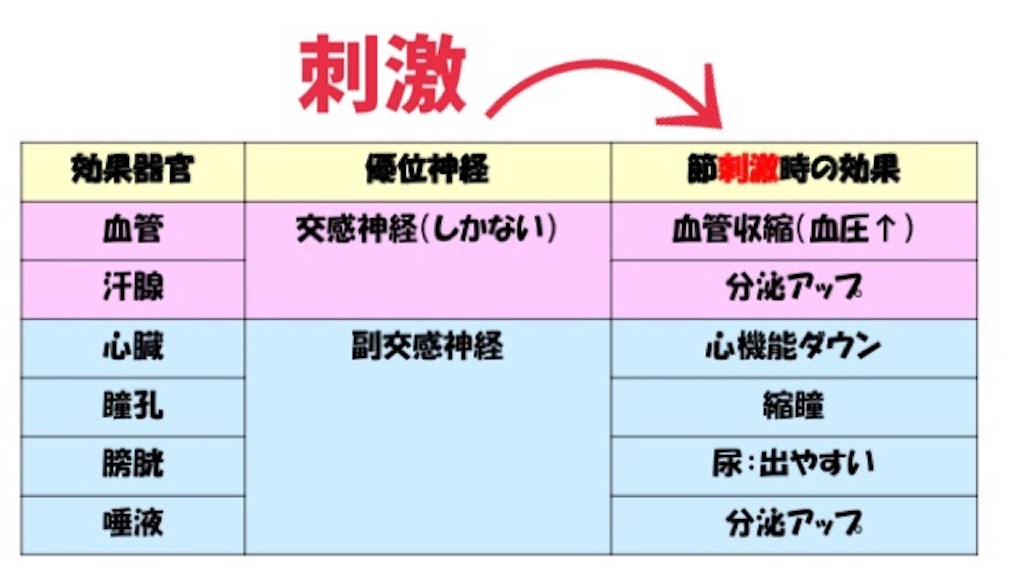 f:id:to_be_phm:20210118235522j:image