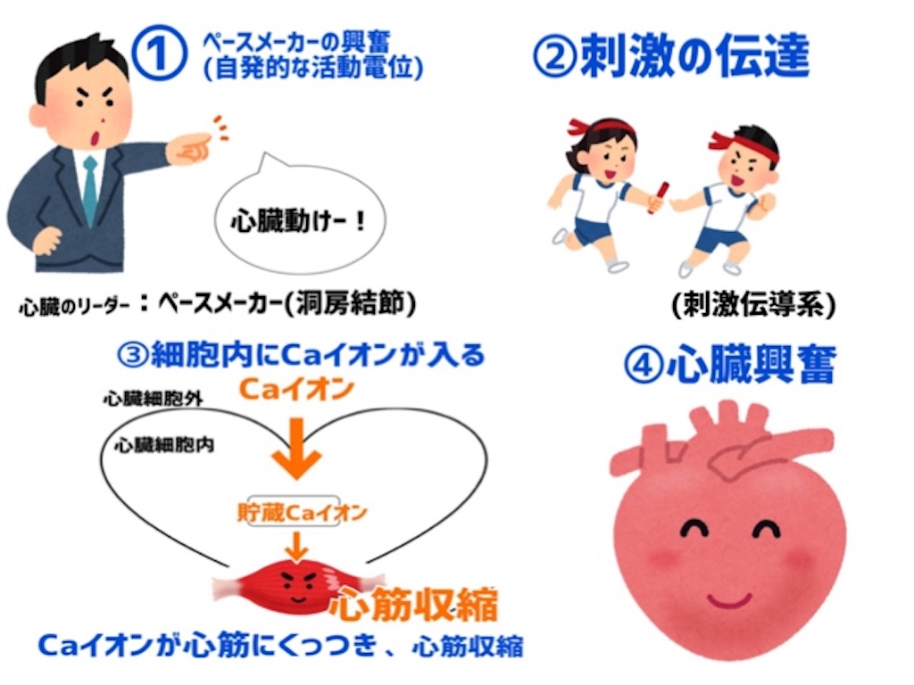 f:id:to_be_phm:20210120194850j:image