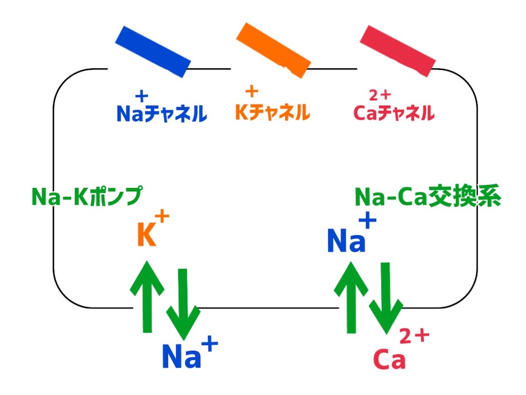 f:id:to_be_phm:20210120202658j:image