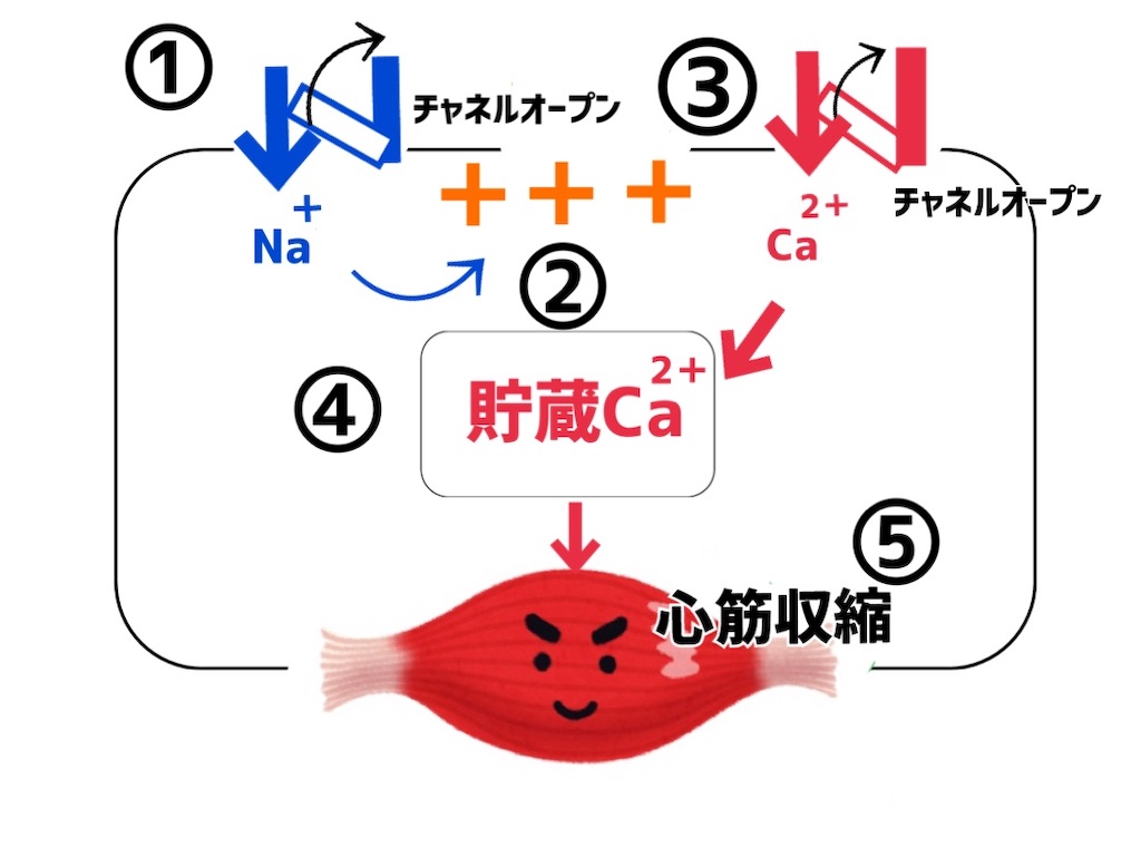 f:id:to_be_phm:20210120220917j:image