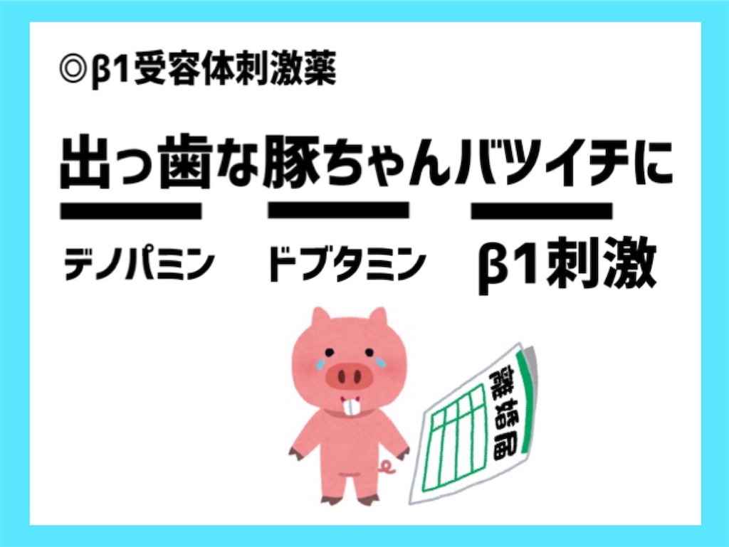 f:id:to_be_phm:20210201111611j:image