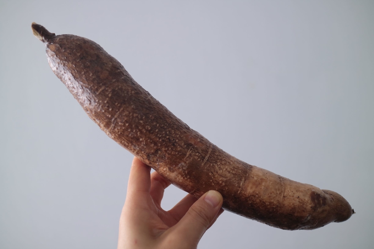 ©JO‘ マッシュキャッサバ(トマトソース入り) / Yuca cocida con salsa de tomate