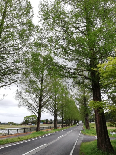 f:id:toa_shufu:20190710152622j:plain f:id:toa_shufu:20190710152622j:plain