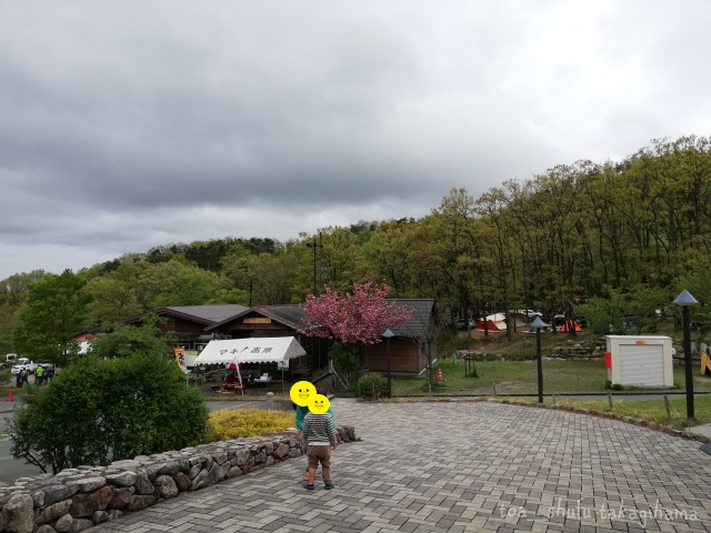 f:id:toa_shufu:20190711112626j:plain f:id:toa_shufu:20190711112626j:plain