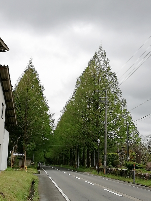 f:id:toa_shufu:20190711113650j:plain f:id:toa_shufu:20190711113650j:plain
