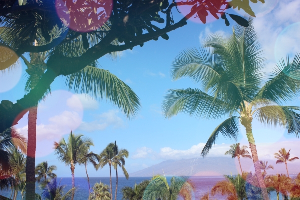 f:id:toa_shufu:20191202110411j:plain f:id:toa_shufu:20191202110411j:plain