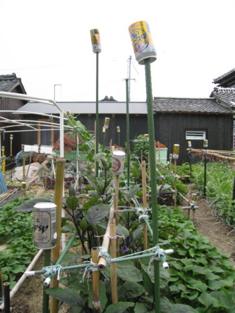 f:id:toamo:20110618131927j:image