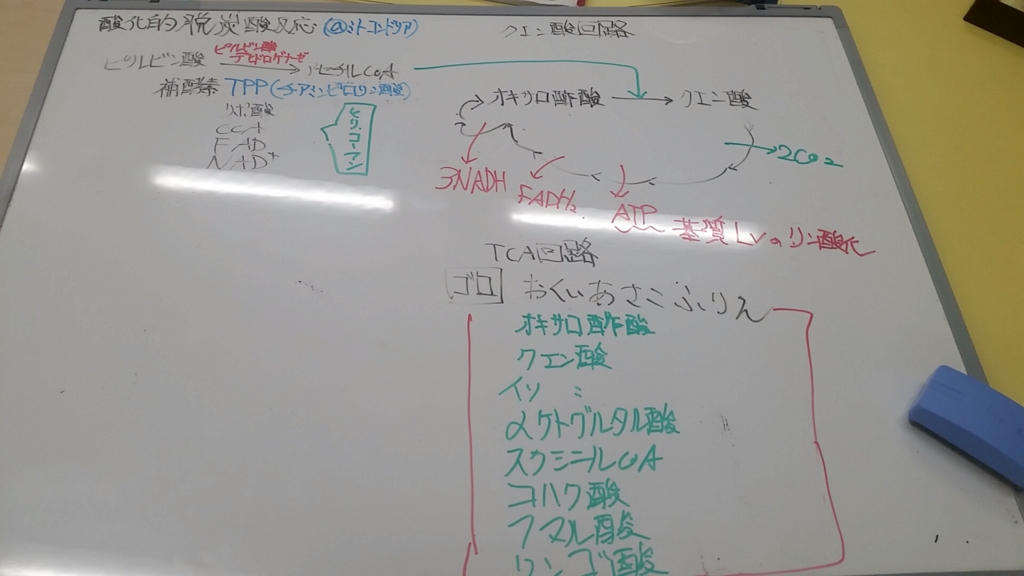 酸化的脱炭酸反応とクエン酸回路 toarurocky’s diary