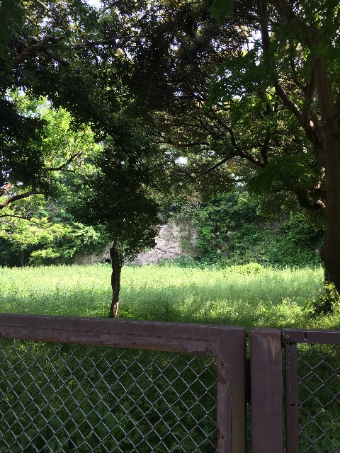 f:id:tobari3209:20150517210207j:image f:id:tobari3209:20150517210207j:image