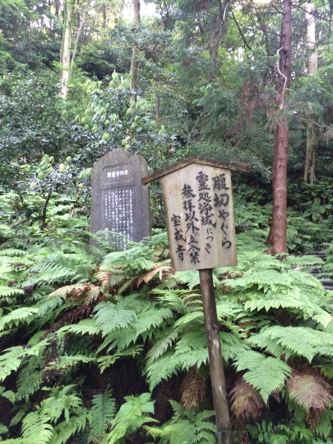 f:id:tobari3209:20150517210226j:image f:id:tobari3209:20150517210226j:image