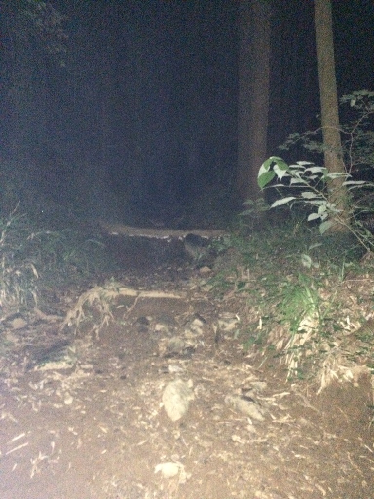 f:id:tobari3209:20150808035735j:image f:id:tobari3209:20150808035735j:image