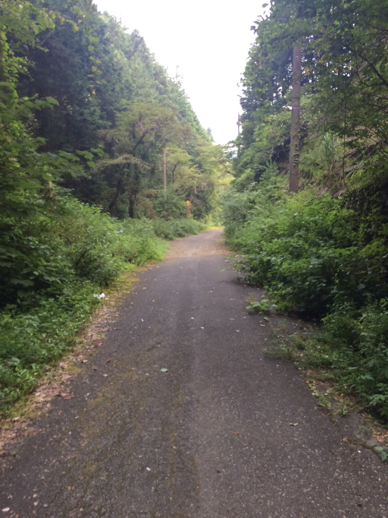 f:id:tobari3209:20150808072826j:image f:id:tobari3209:20150808072826j:image