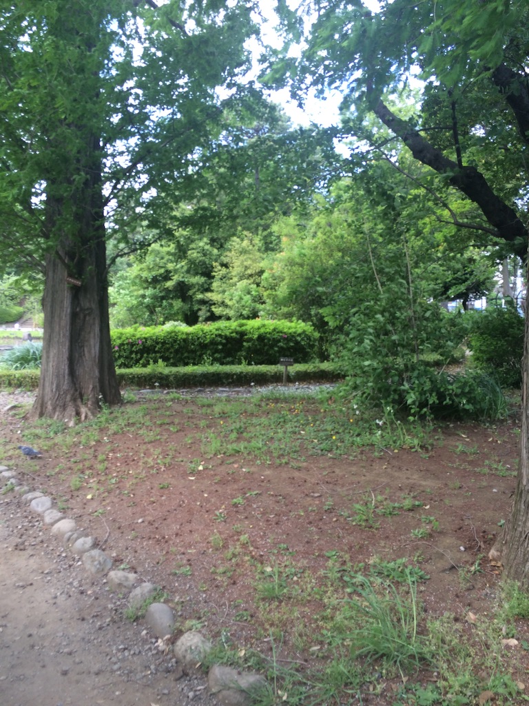f:id:tobari3209:20150808210859j:image f:id:tobari3209:20150808210859j:image