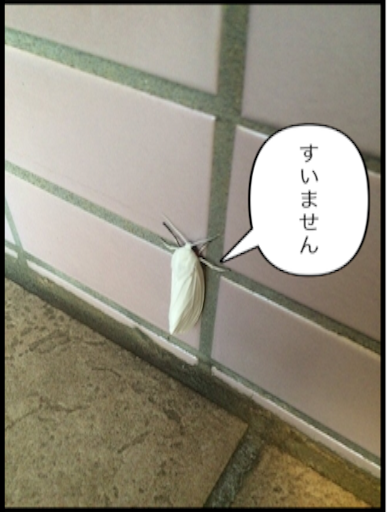 f:id:tobari3209:20160809210620p:image f:id:tobari3209:20160809210620p:image