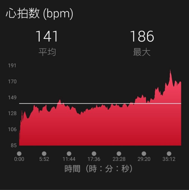 f:id:tobarun:20191231083152j:image f:id:tobarun:20191231083152j:image