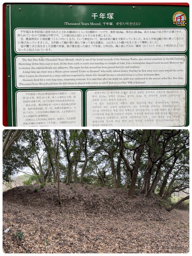 f:id:tobarun:20230115164316j:image