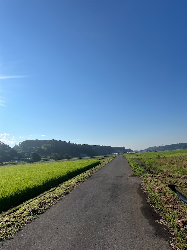 f:id:tobarun:20240723085535j:image