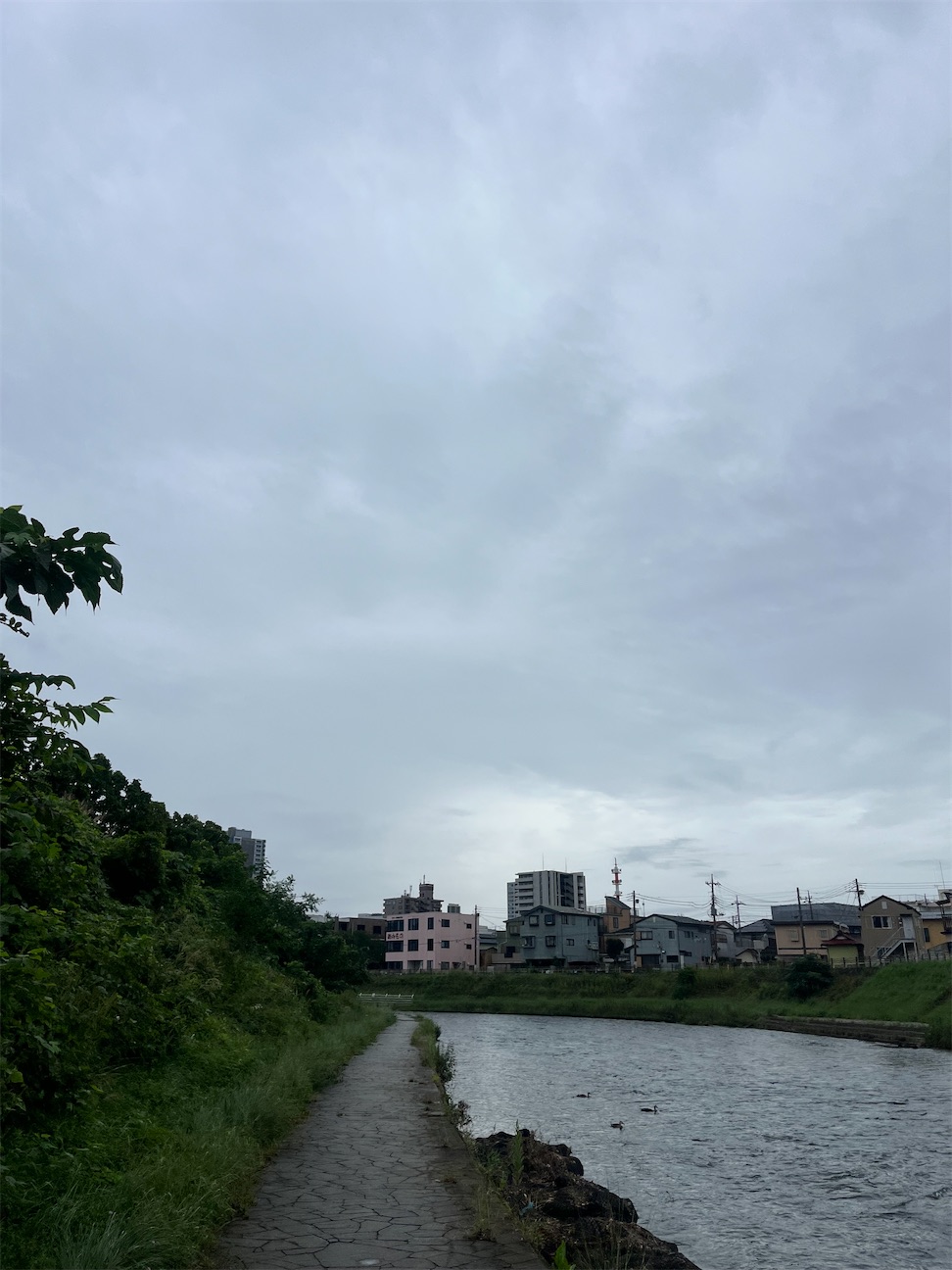 f:id:tobarun:20260920094542j:image f:id:tobarun:20260920094542j:image