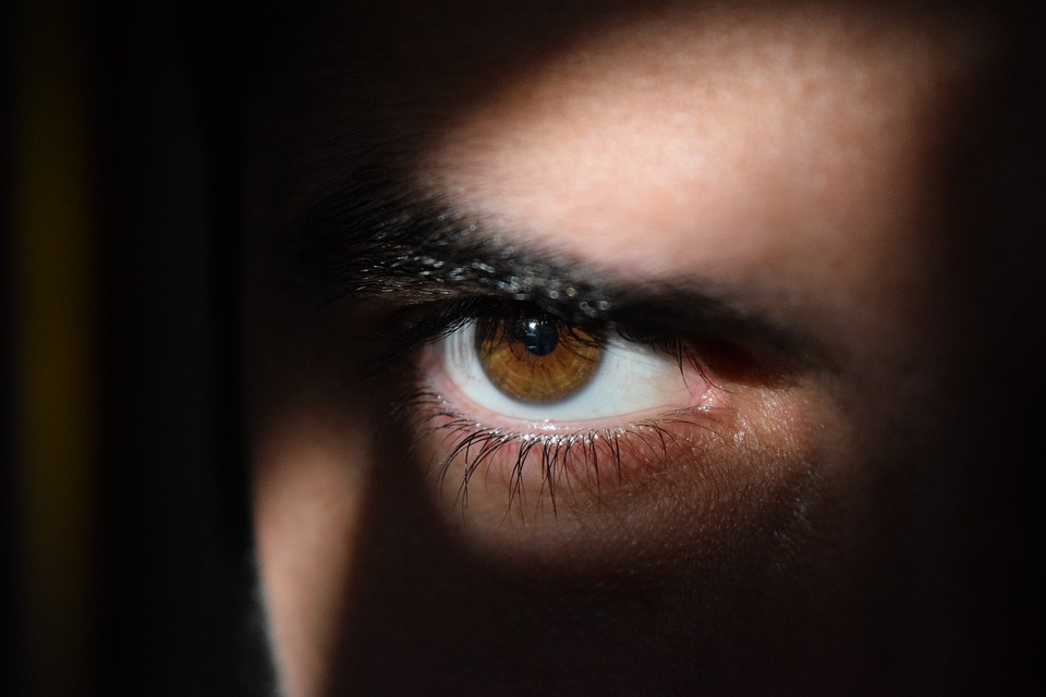 f:id:tobi-1002:20190326140152j:plain