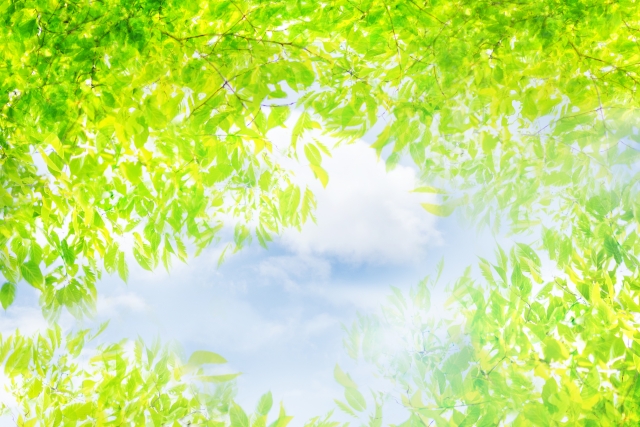 f:id:tobi-maro:20210327075119j:plain