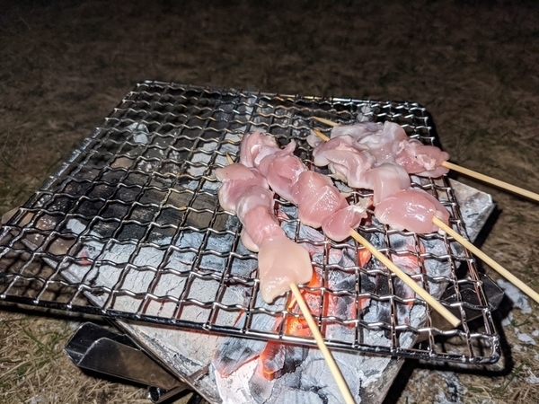 f:id:tobikoblog:20210227211752j:plain