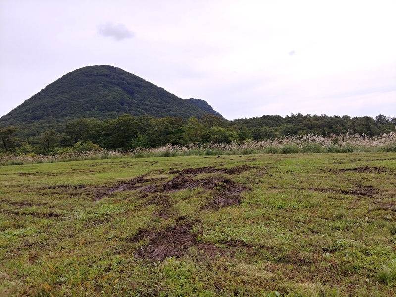 f:id:tobikoblog:20210327100251j:plain