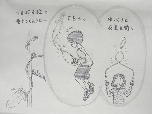 f:id:tobimaru-jdr:20201112225001j:plain