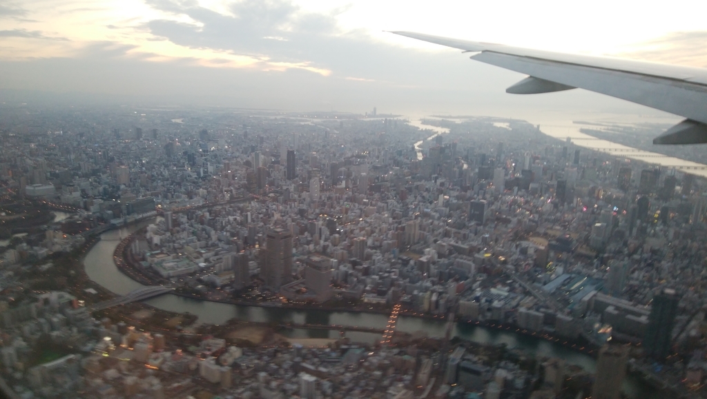 f:id:tobinenxj:20190113012306j:plain f:id:tobinenxj:20190113012306j:plain