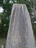 南湖神社境内の石碑