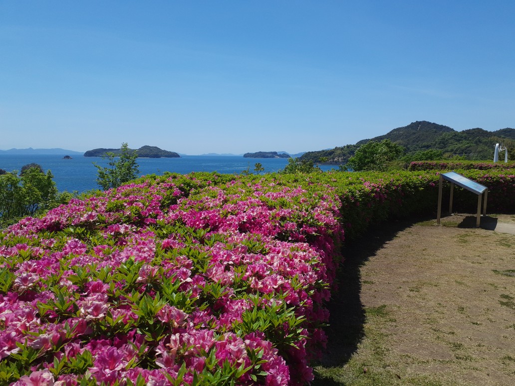 f:id:tobishima-life:20210426123200j:plain