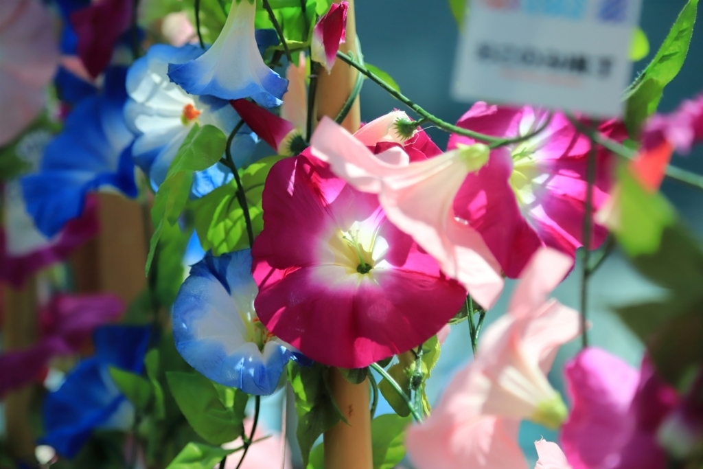 f:id:tobity:20180803131411j:plain f:id:tobity:20180803131411j:plain