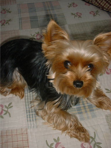 f:id:tobiuo28:20200625144425j:plain