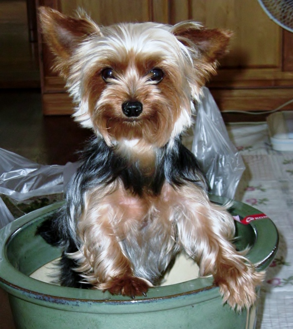 f:id:tobiuo28:20210101111453j:plain