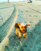 f:id:tobiuo28:20210103121033j:plain