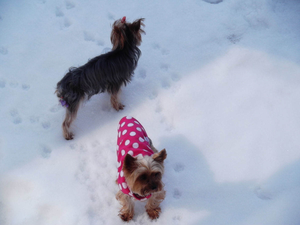 f:id:tobiuo28:20210114143259j:plain