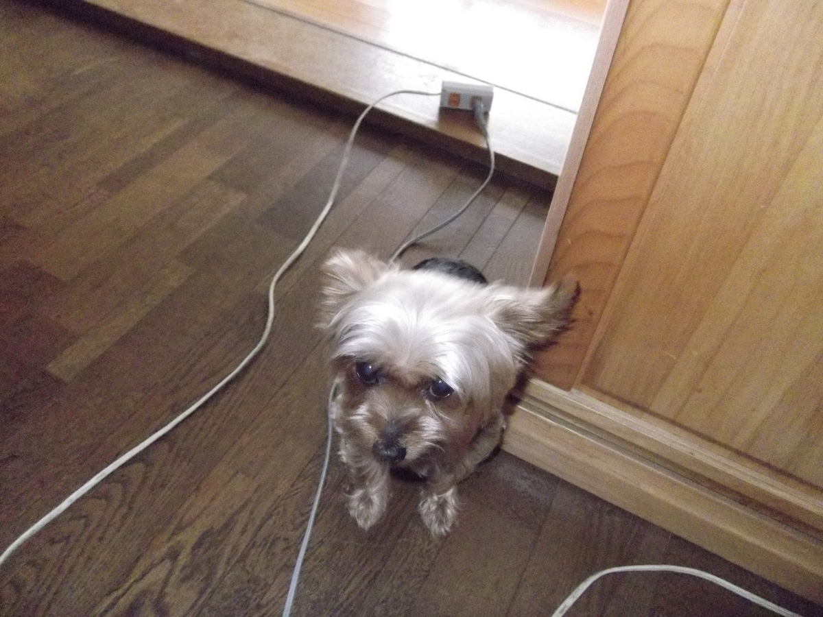 f:id:tobiuo28:20210116134713j:plain