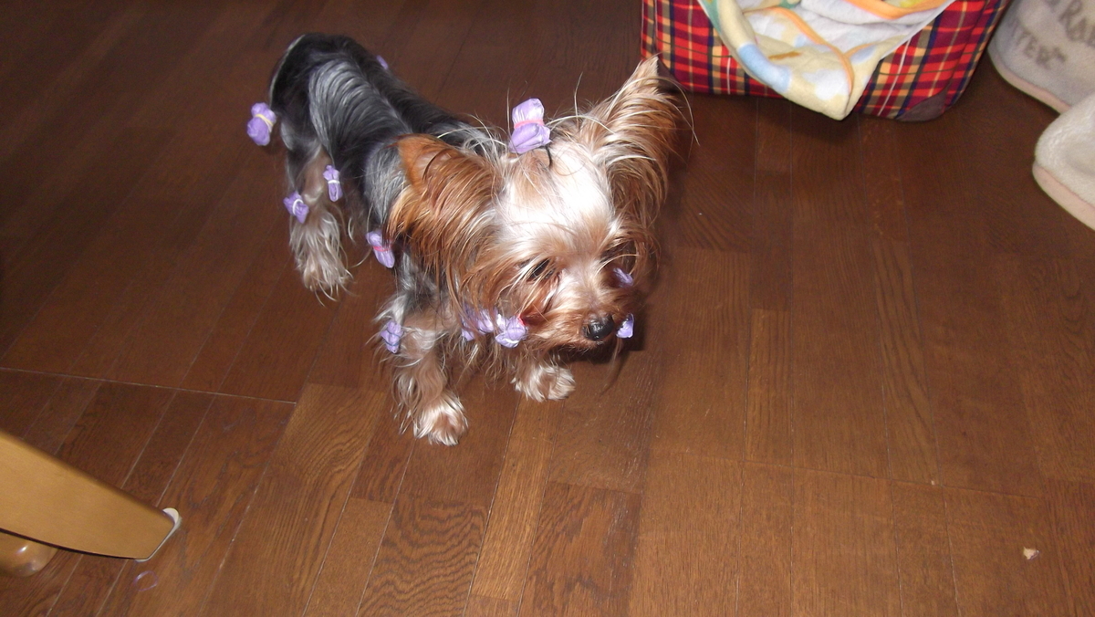 f:id:tobiuo28:20210119165412j:plain