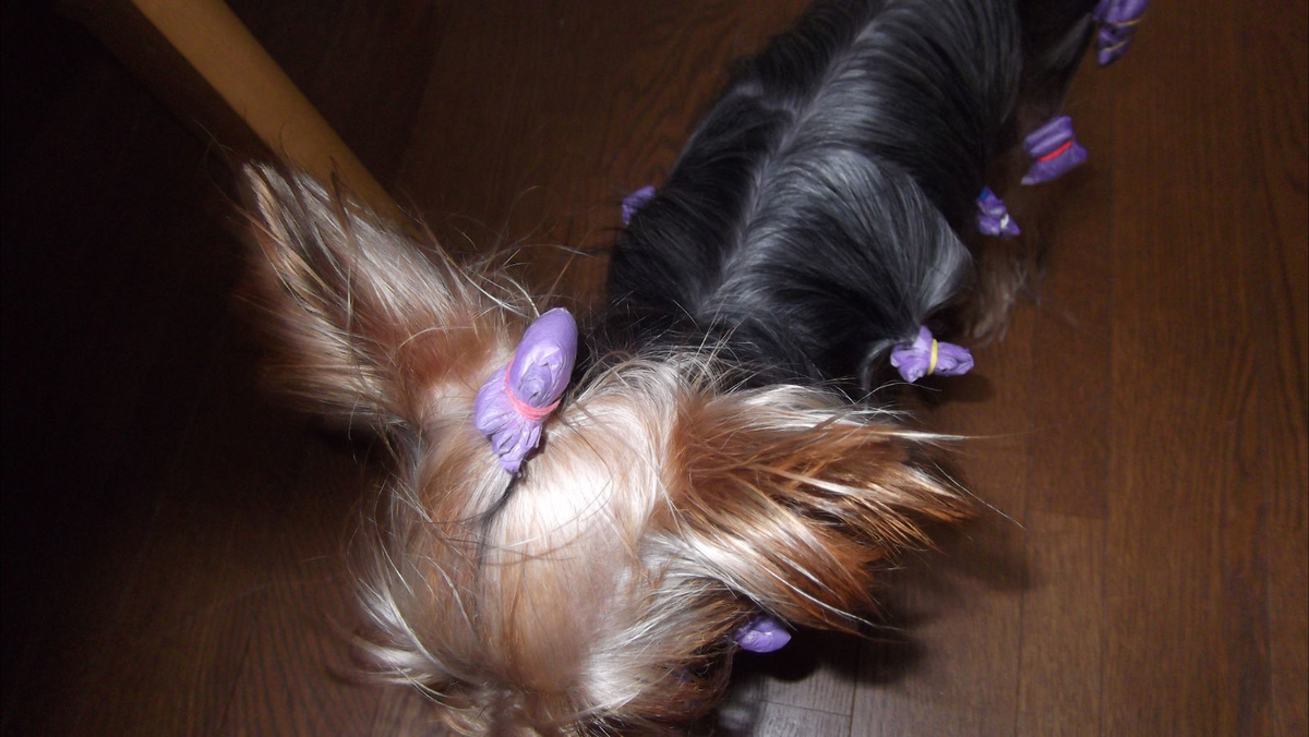 f:id:tobiuo28:20210120115342j:plain