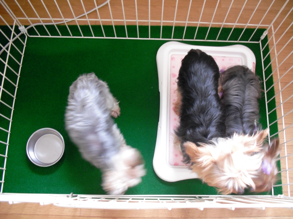 f:id:tobiuo28:20210122131103j:plain