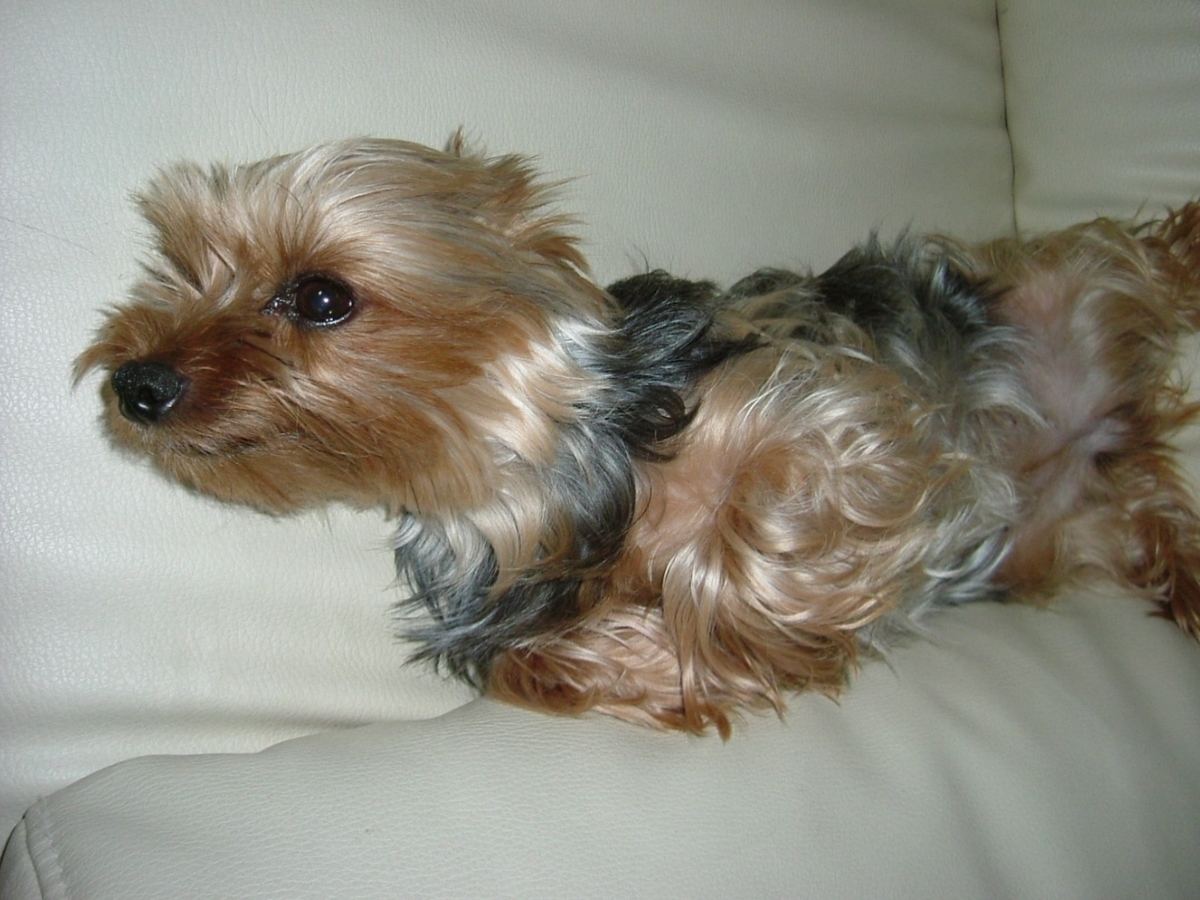 f:id:tobiuo28:20210127200940j:plain