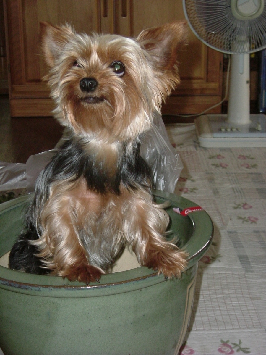 f:id:tobiuo28:20210128115627j:plain