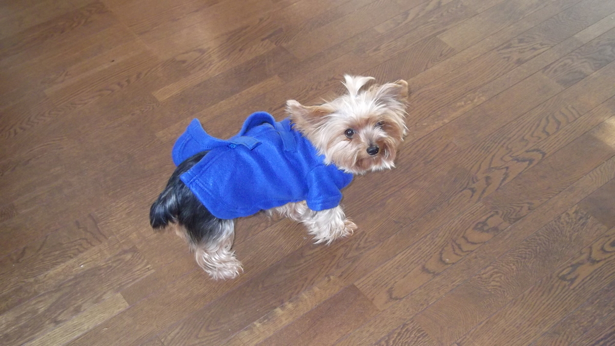 f:id:tobiuo28:20210129145250j:plain