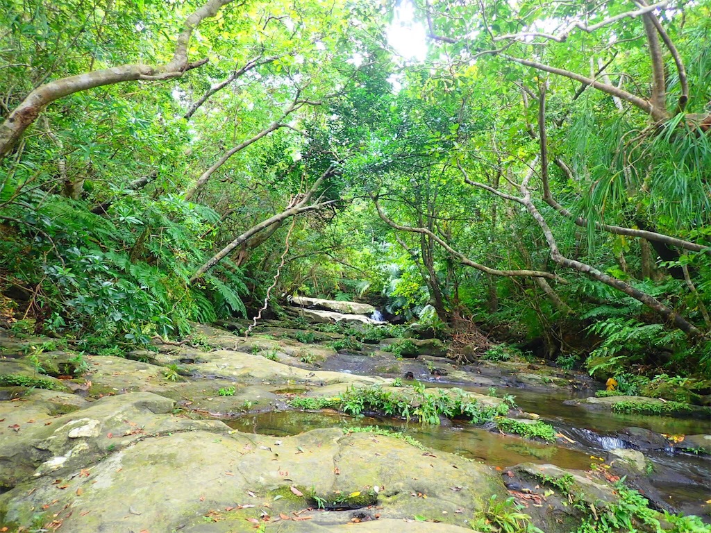 f:id:tobosya:20181118192758j:plain