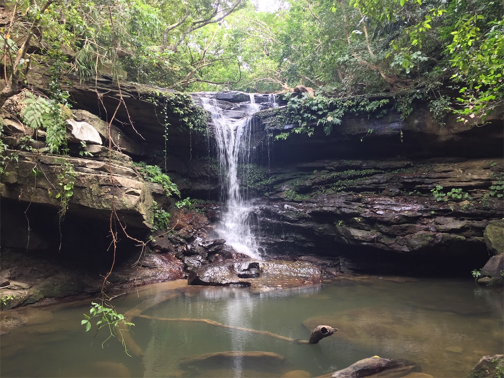 f:id:tobosya:20181118192808j:plain