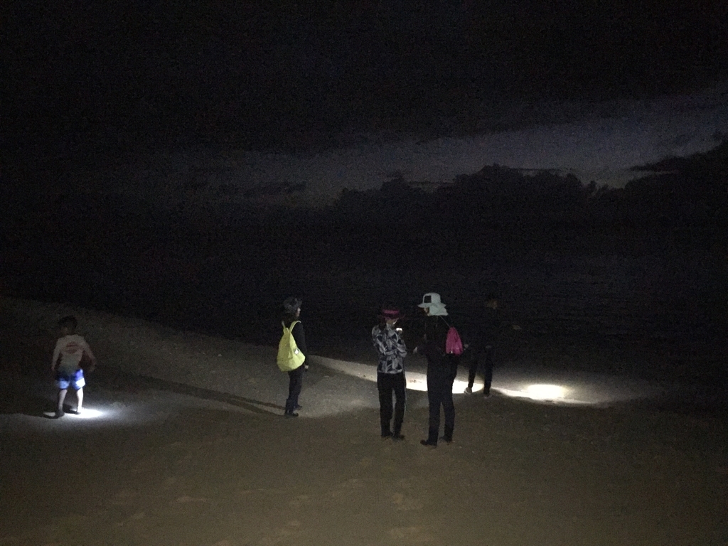 f:id:tobosya:20181123140237j:plain