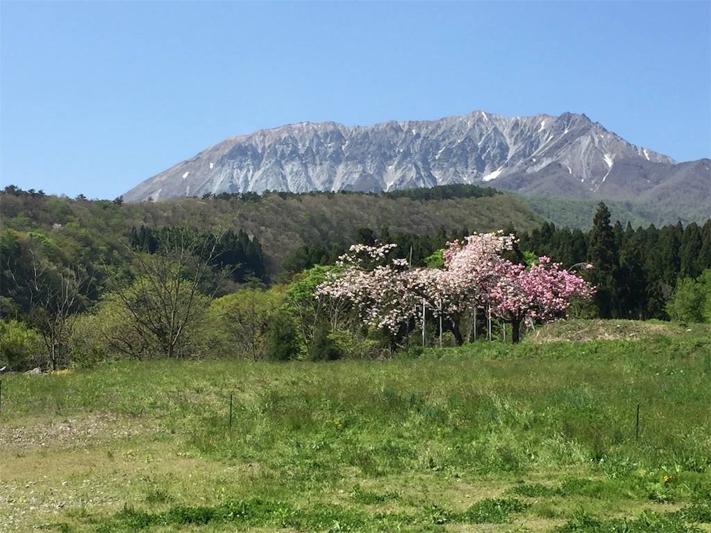 f:id:tobosya:20190707140315j:image