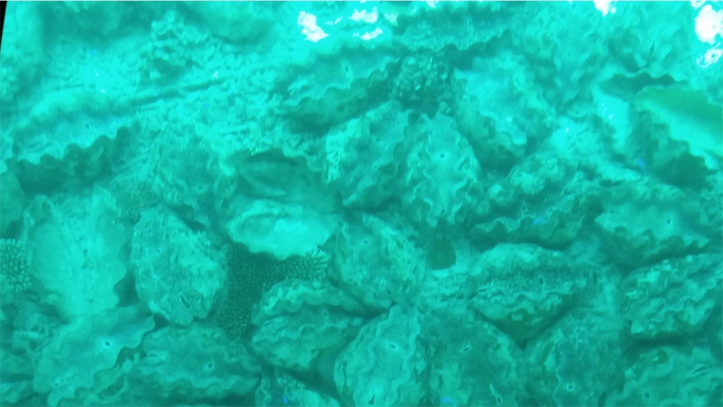 f:id:tobosya:20190825120852j:image f:id:tobosya:20190825120852j:image