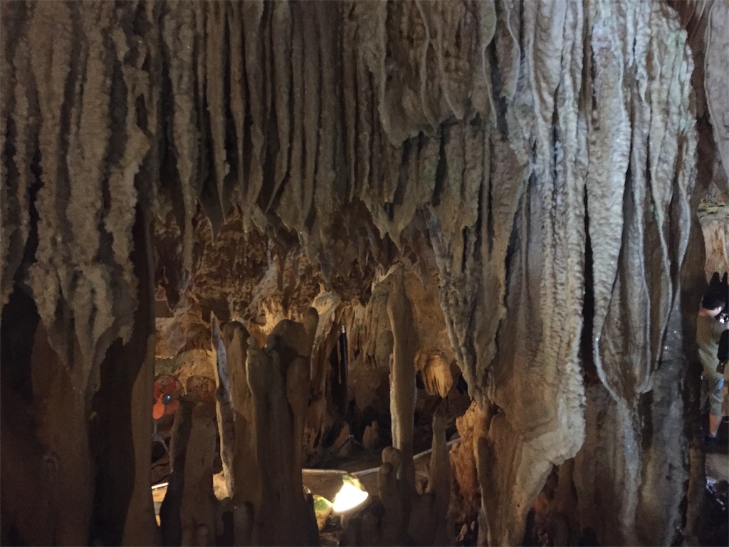 f:id:tobosya:20190825120857j:image f:id:tobosya:20190825120857j:image